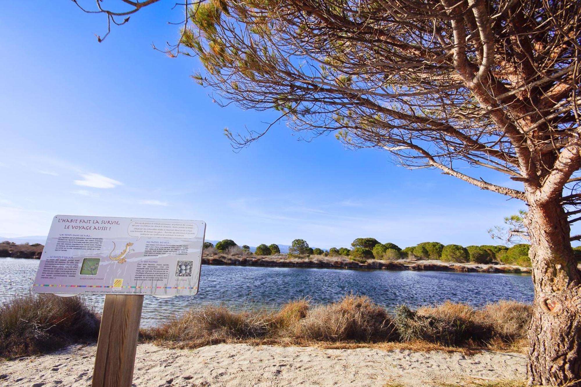 Marina, Ile Des Pecheurs - Acces Piscine Et Spa Le Barcarès Eksteriør billede